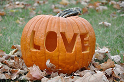 love-pumpkin