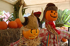 scarecrow-raffle