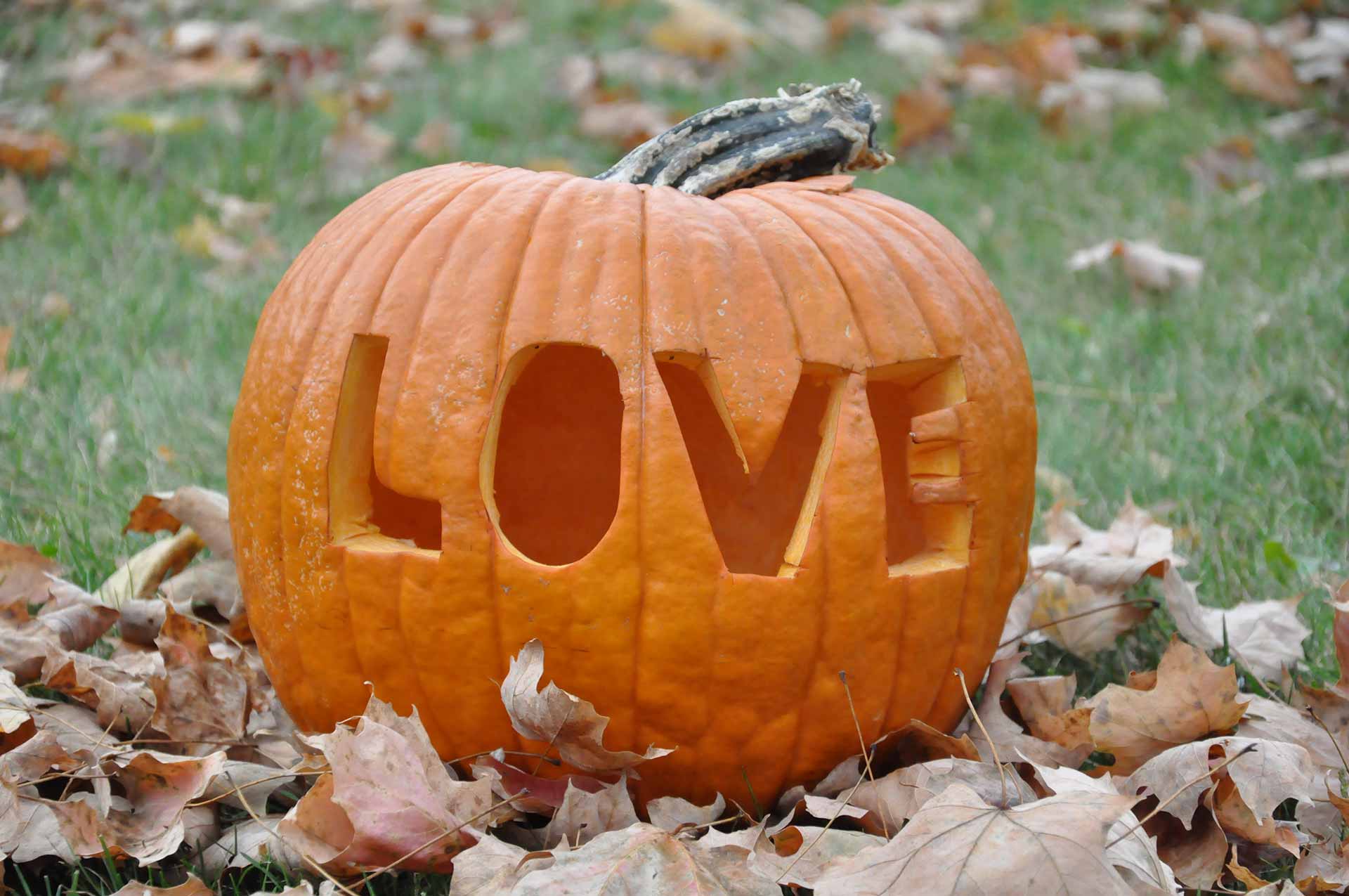 love carving in pumpkin